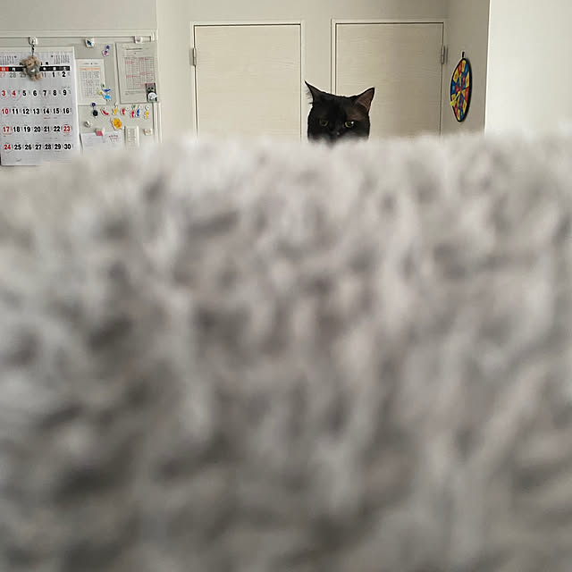 okapiさんの部屋