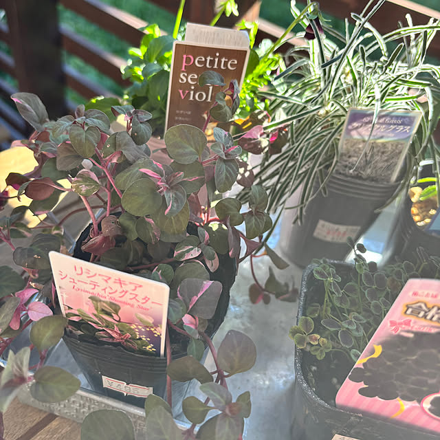 kyoko1124koさんの部屋