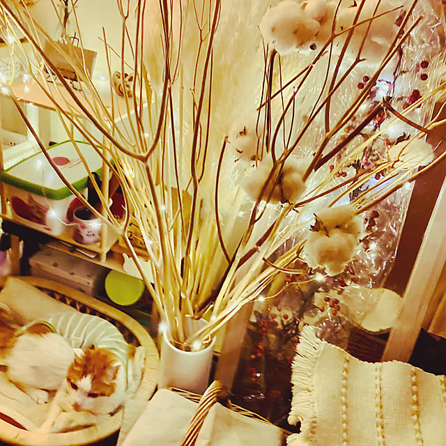 YUKAさんの部屋