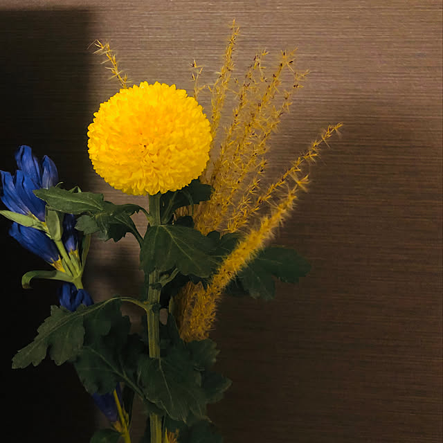 01さんの実例写真