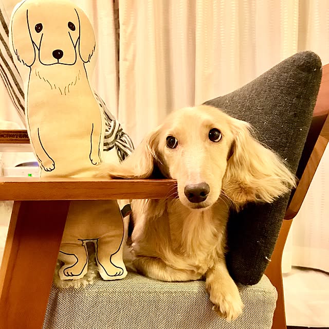 Yutsukiさんの実例写真