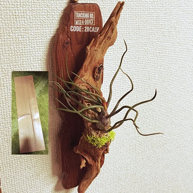tomo26さんの実例写真