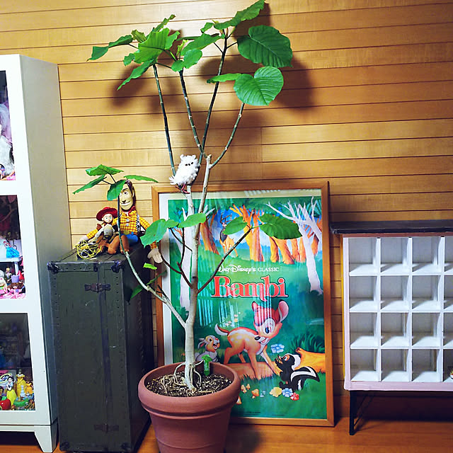cherrycherryさんの実例写真