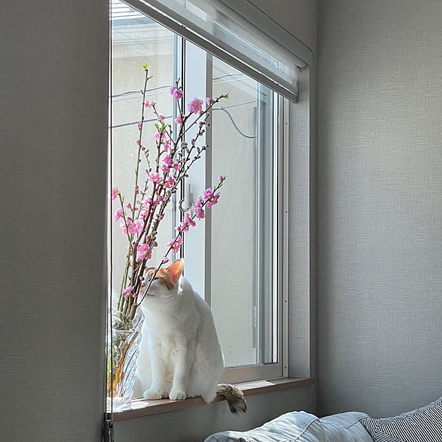 ikuzakさんの部屋