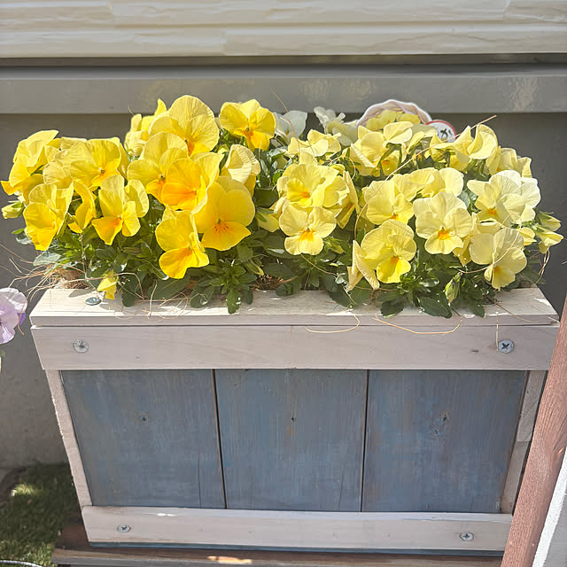 mocomocoさんの実例写真