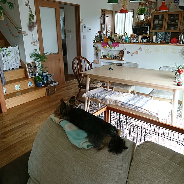 akiさんの実例写真