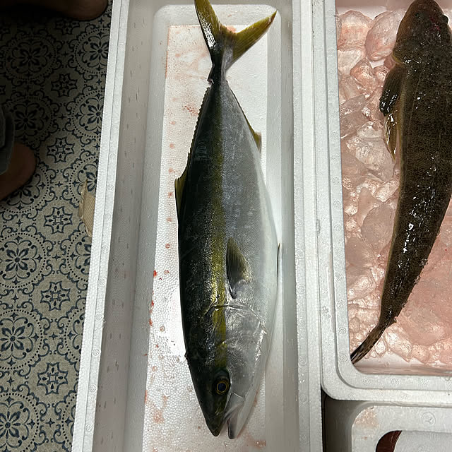 ritsukoさんの部屋