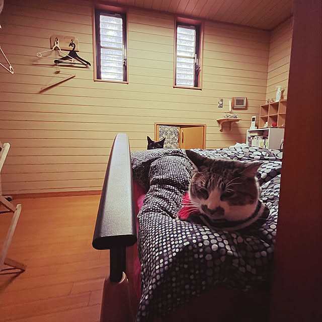 jijiさんの実例写真