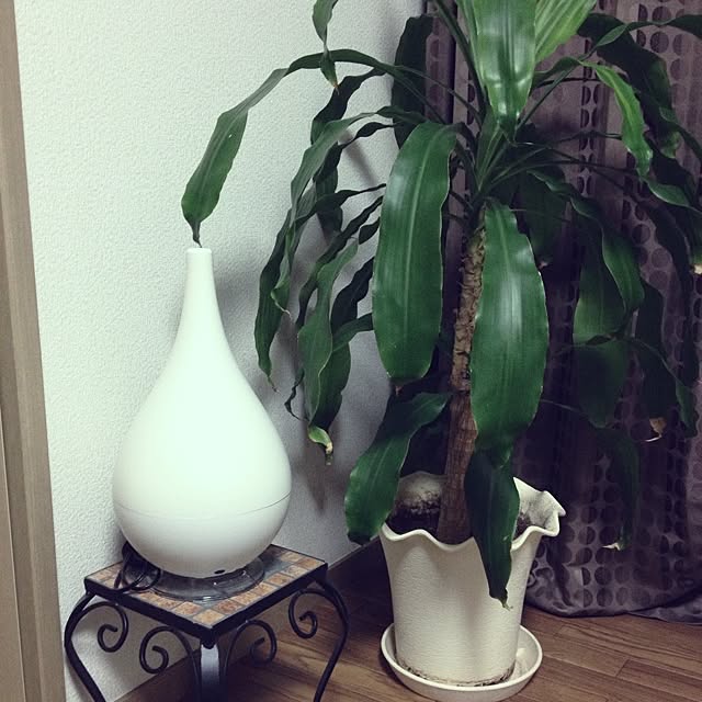 TAKARAv0_0vさんの実例写真