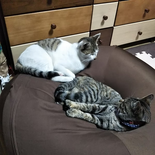 me_ta_815さんの実例写真