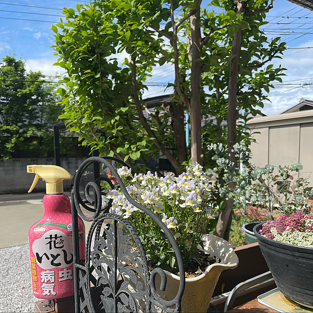 ronronさんの実例写真