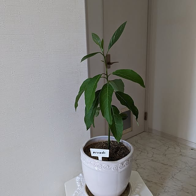 machikomamaさんの実例写真