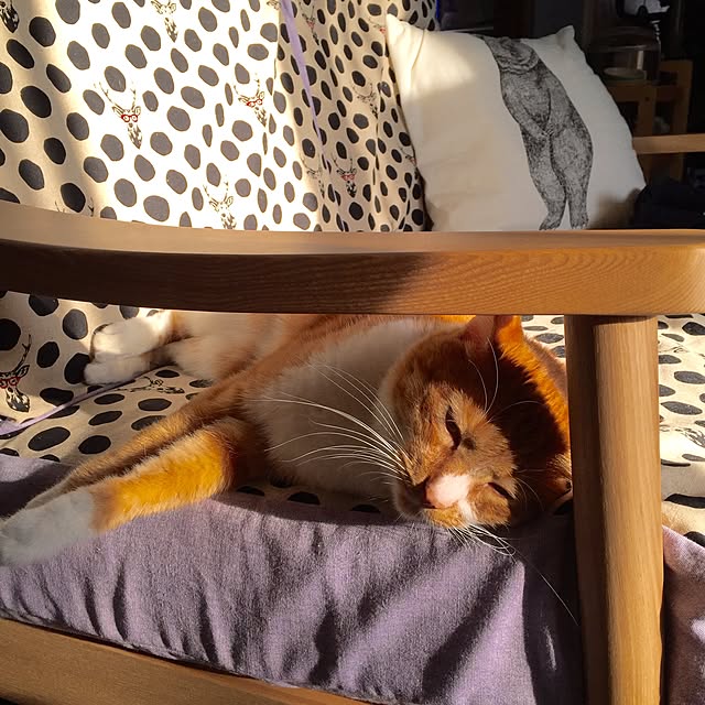 yuccoさんの実例写真