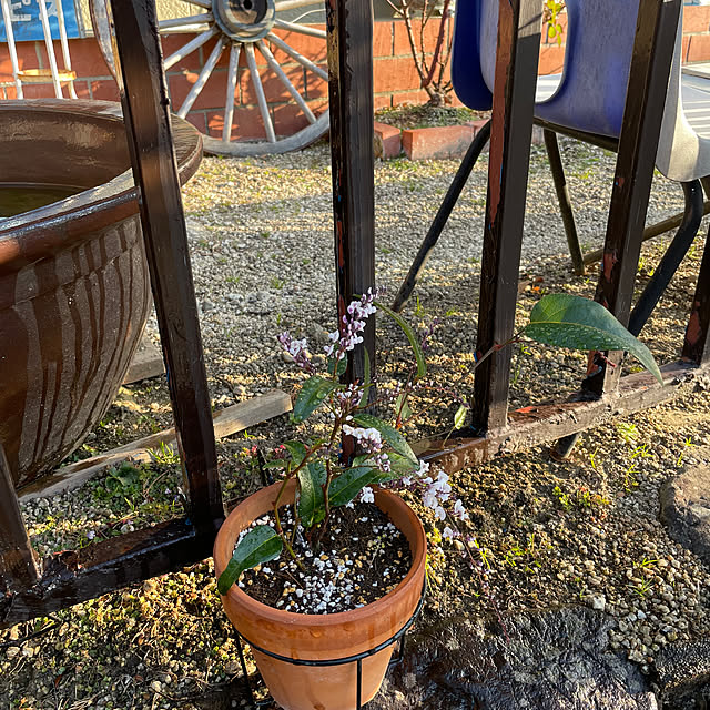 shin0719さんの部屋