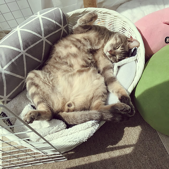 yuz96さんの実例写真