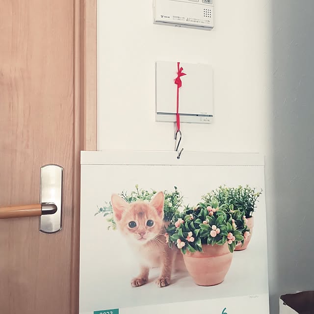 aisuさんの実例写真