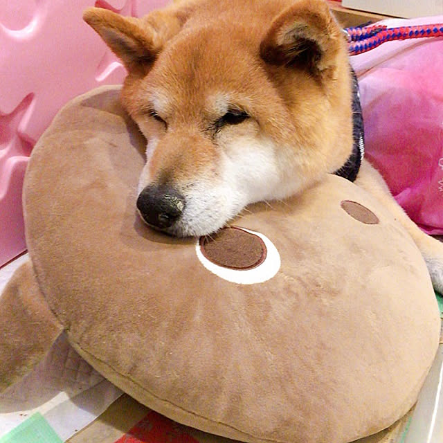 regumaさんの実例写真