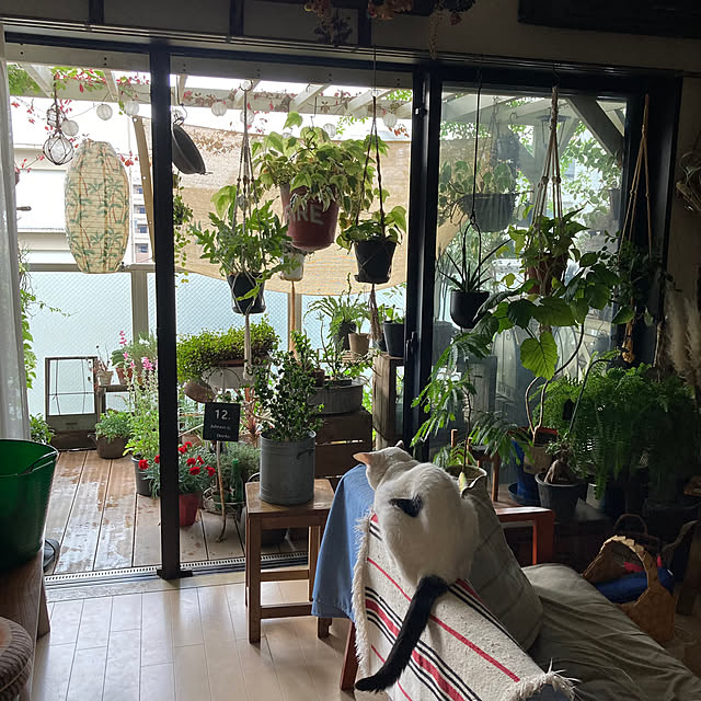 izumiさんの実例写真