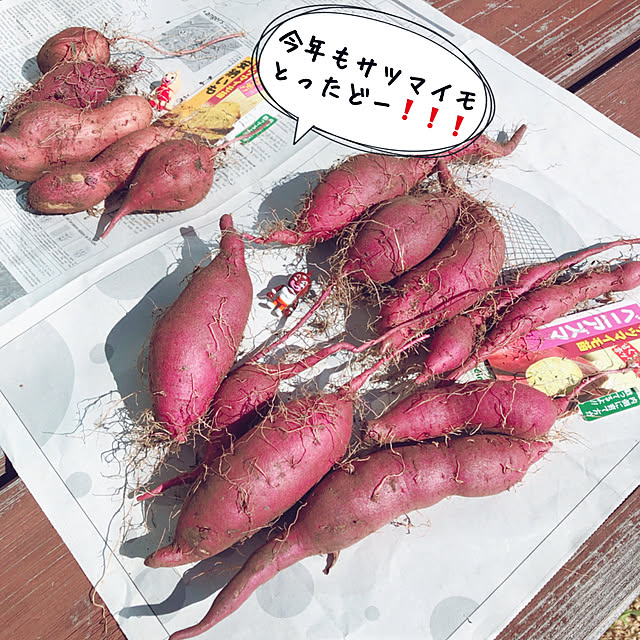 mangoさんの実例写真