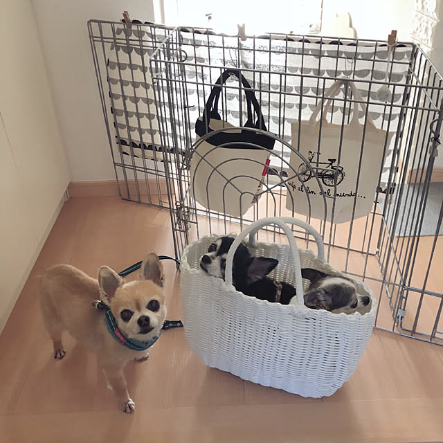 Emiさんの実例写真