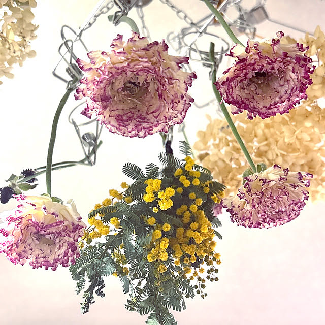 takakoさんの実例写真