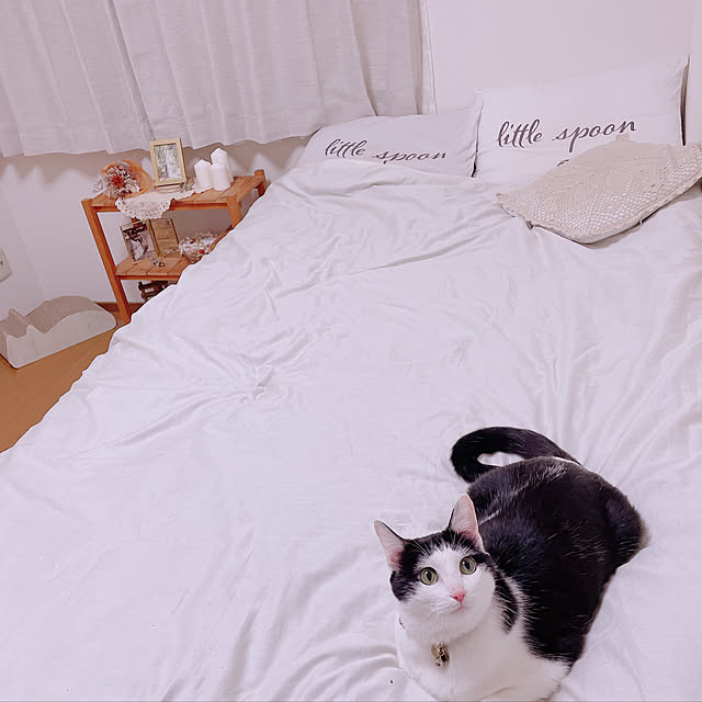 harukaさんの実例写真