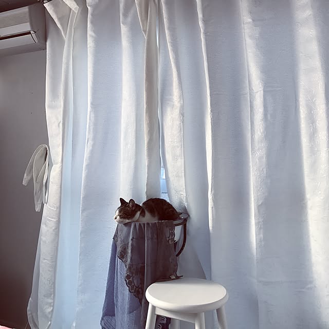 Shihoさんの実例写真