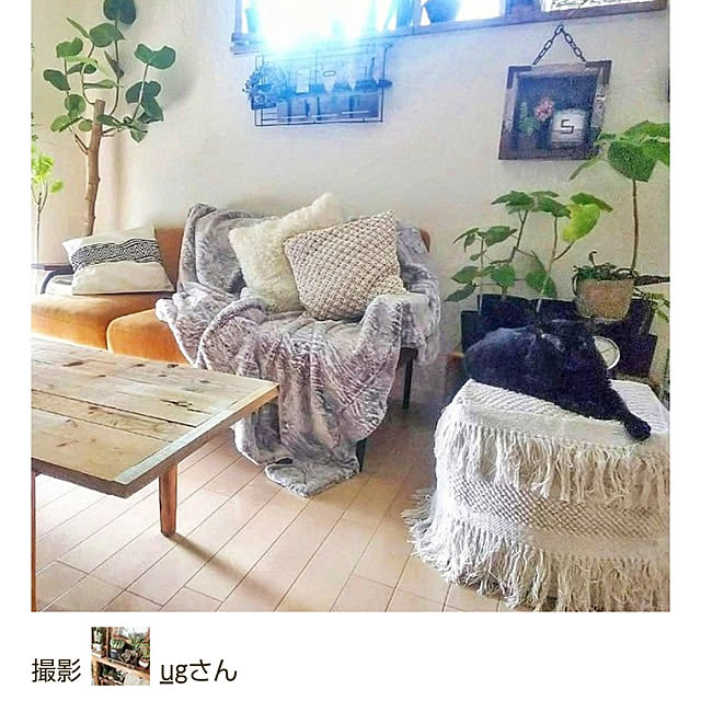 ugさんの実例写真