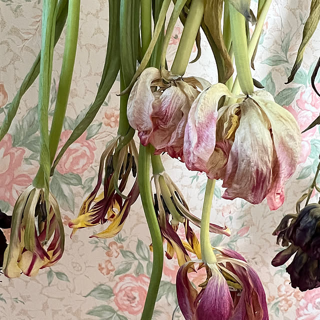 AYUKOさんの部屋