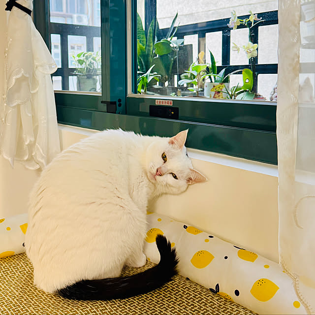 pcu110さんの部屋