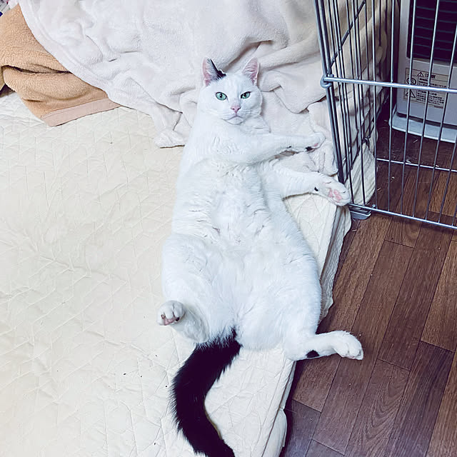 YUKAさんの実例写真