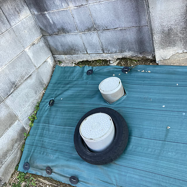 kikuさんの部屋