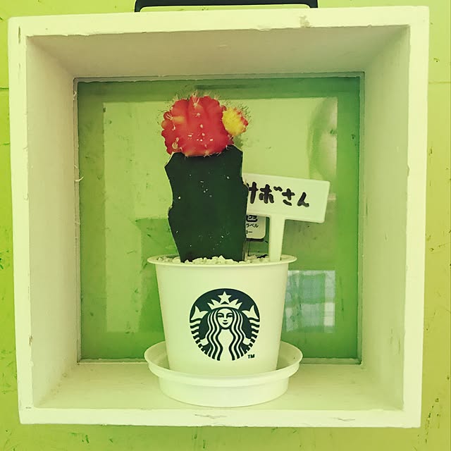 mayuusaさんの実例写真