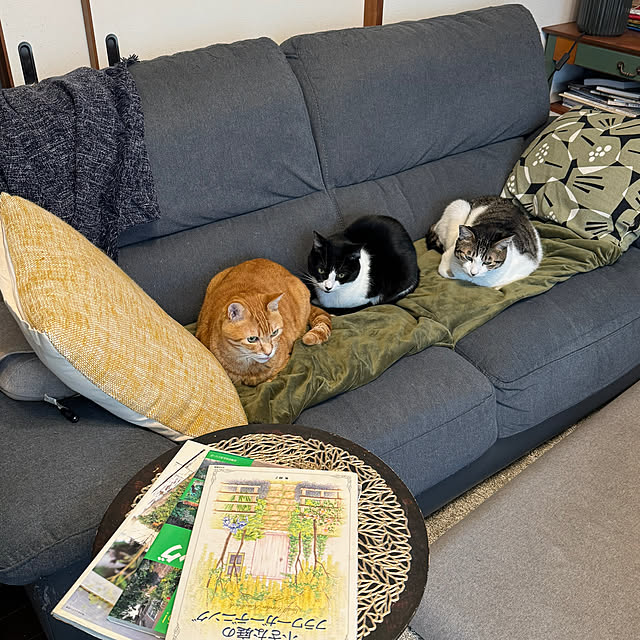 okyosan101さんの部屋