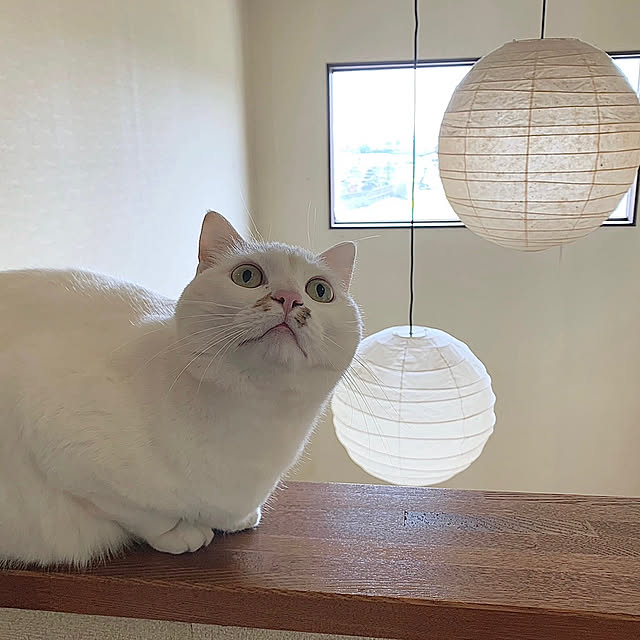 Maririnさんの実例写真