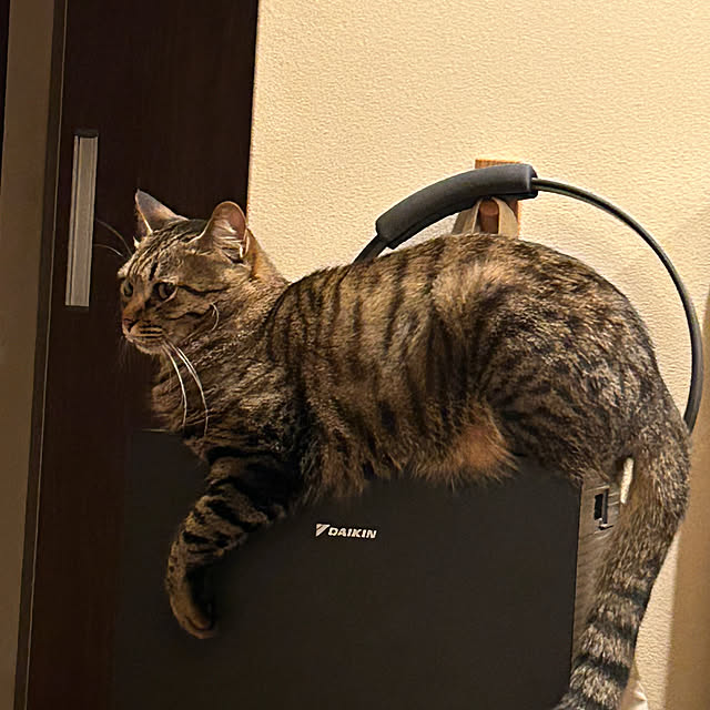 ruruさんの実例写真