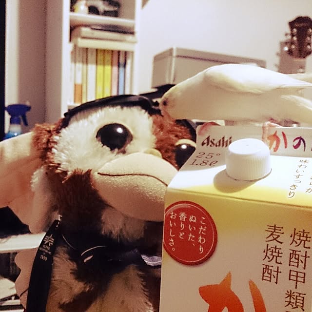 gushikoさんの実例写真