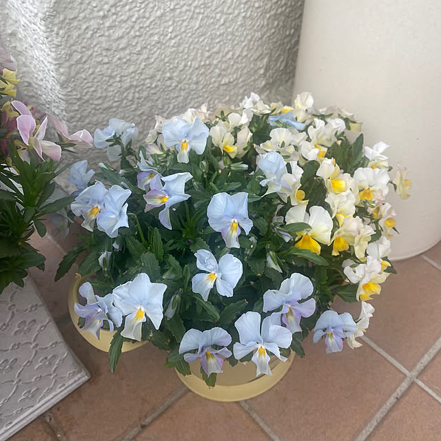 dainaoreiさんの部屋