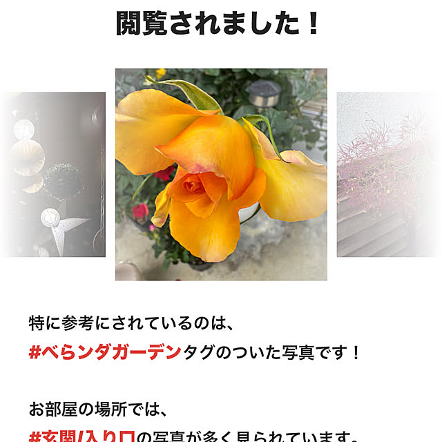 ayaさんの実例写真