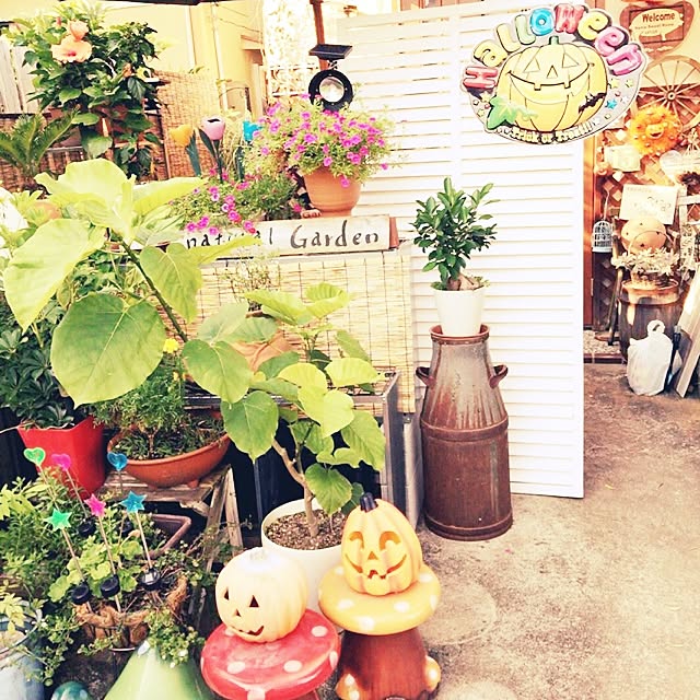 ichigonohanaさんの実例写真