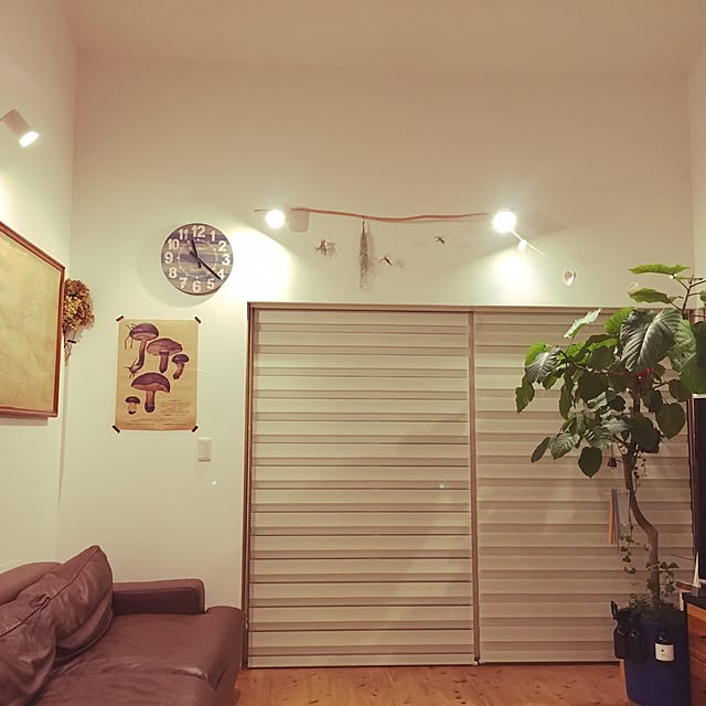 misyuharaさんの実例写真