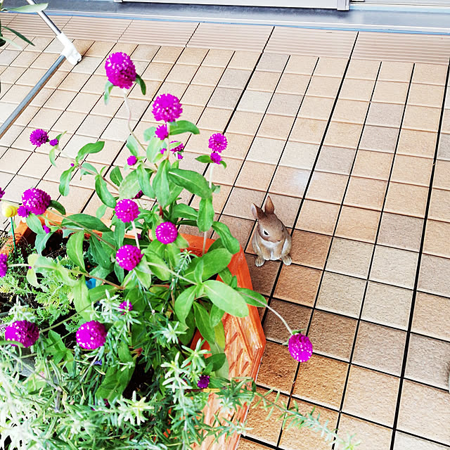 kotoripさんの実例写真