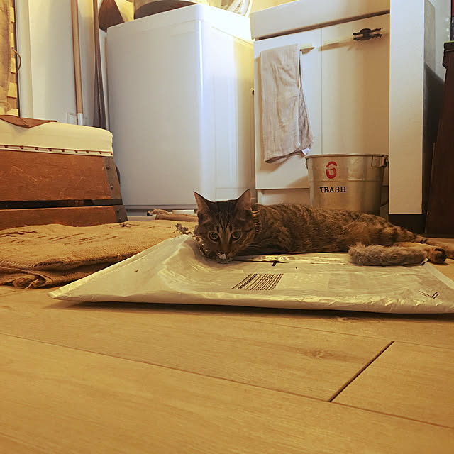 Mさんの実例写真