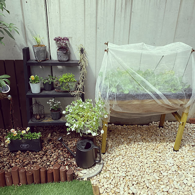 Komekoさんの部屋