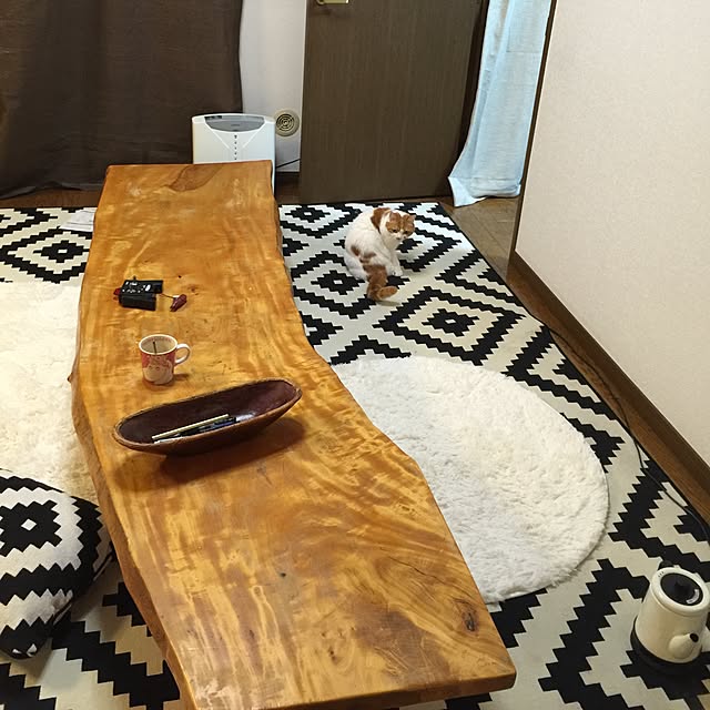 chi_kaさんの実例写真
