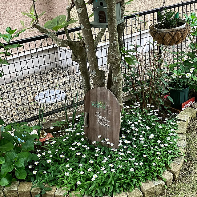 maron915さんの実例写真
