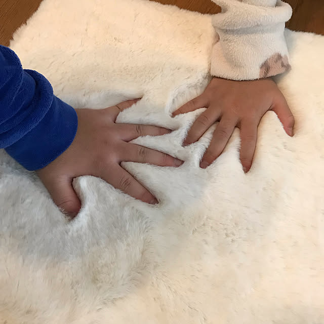 riiさんの実例写真