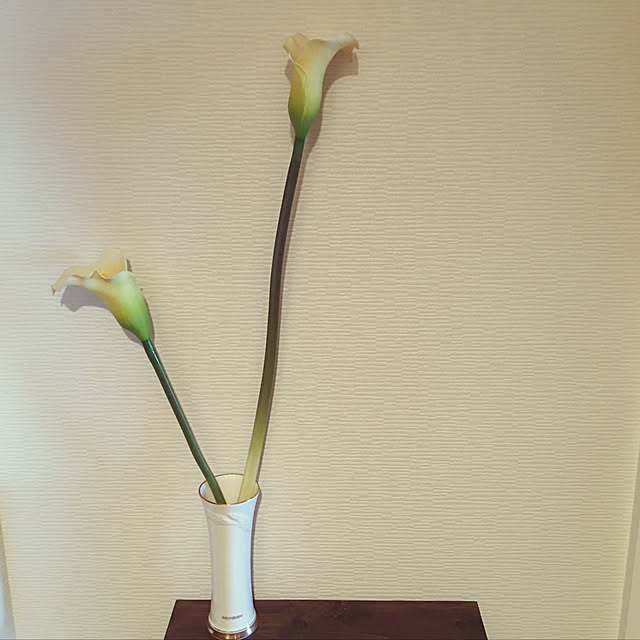 myumyuさんの実例写真