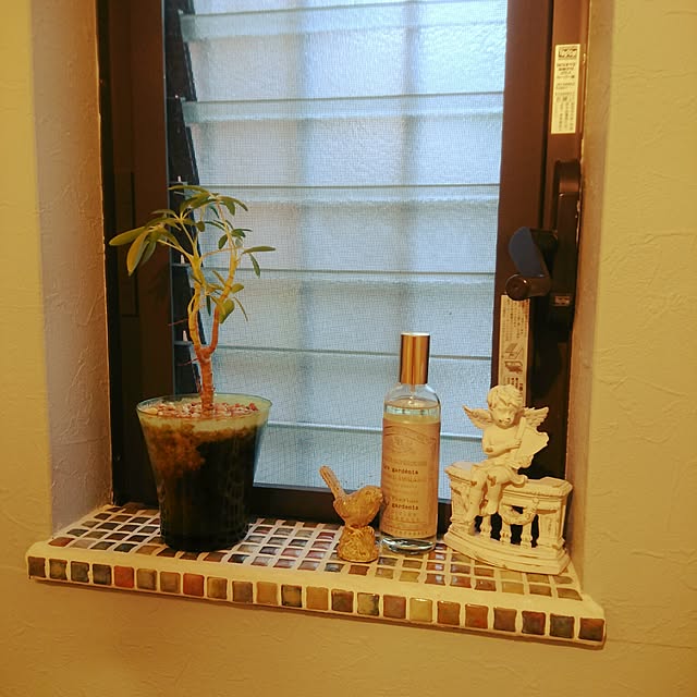 noeさんの実例写真