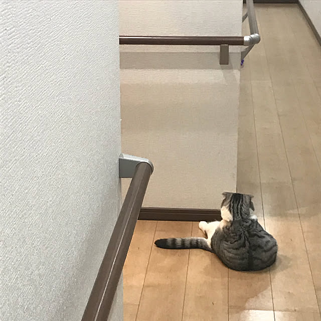 Dahliaさんの実例写真